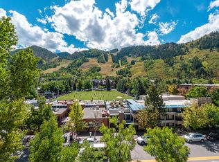 314 E Hyman Ave, Aspen, CO 81611