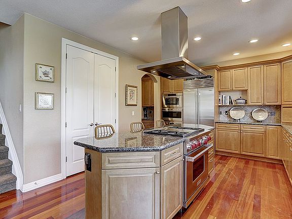 WOLF Professional hood