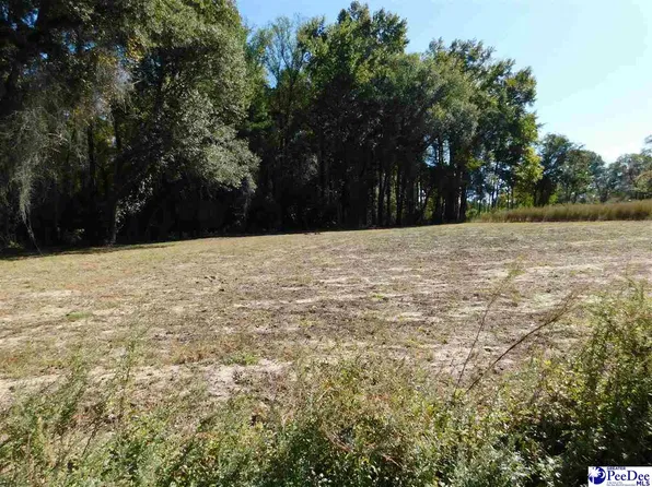 1 Salem Rd, Bennettsville, SC 29512