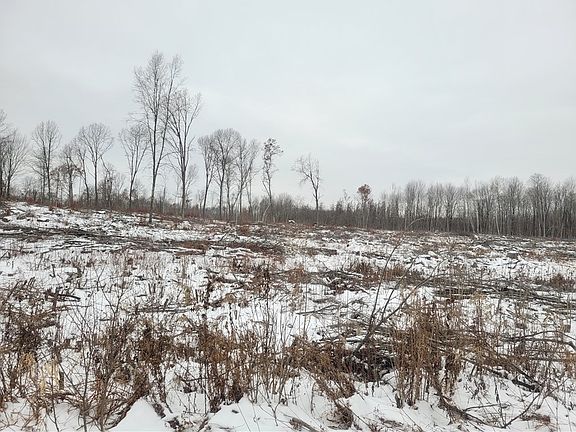 3rd image of ON Sheep Camp Road