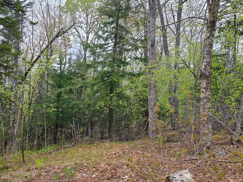 2nd image of TBD (Map/Lot 07-008) Mountain Road