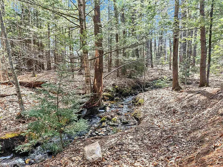 5 Deer Run — Photo 23