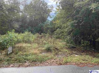 135 Abe Lincoln St, Darlington, SC 29532