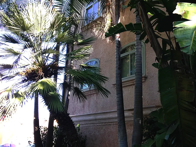 lush landscaping at front of building