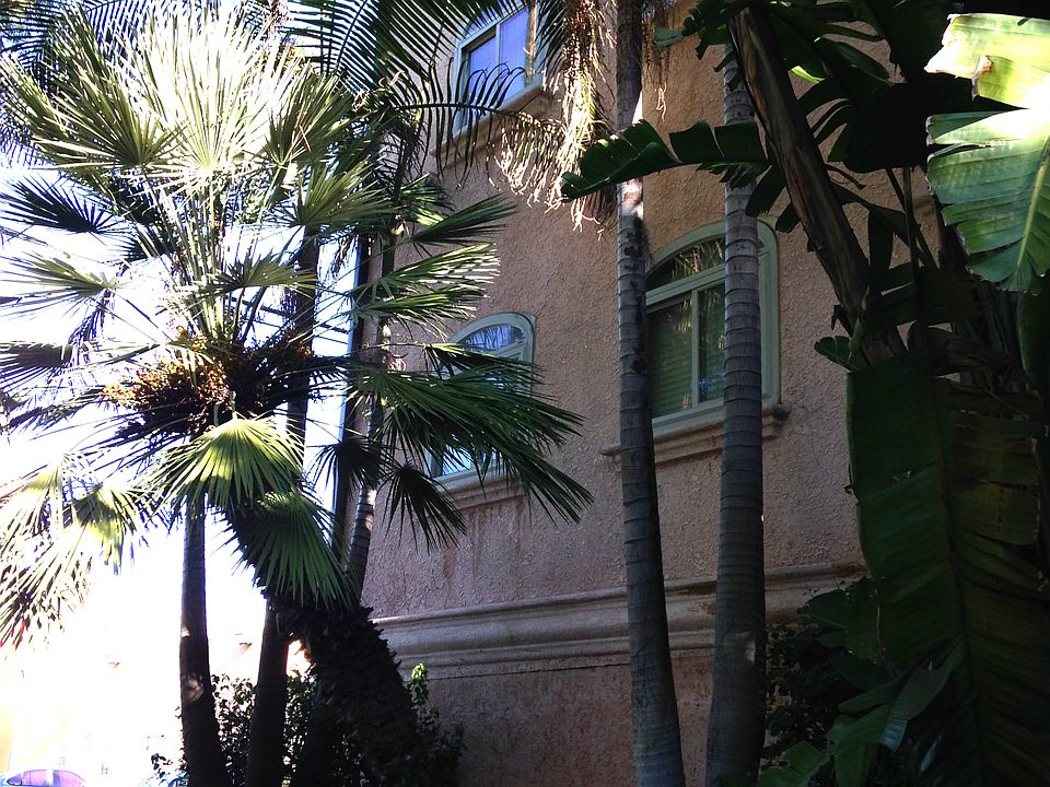 lush landscaping at front of building