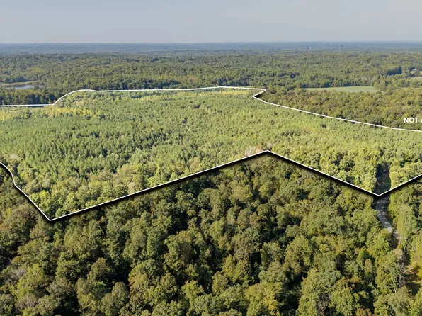 1 Baudy James Rd, Cedar Grove, TN 38321
