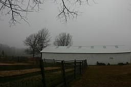 Large barn with 4 box stalls and plenty of room for more