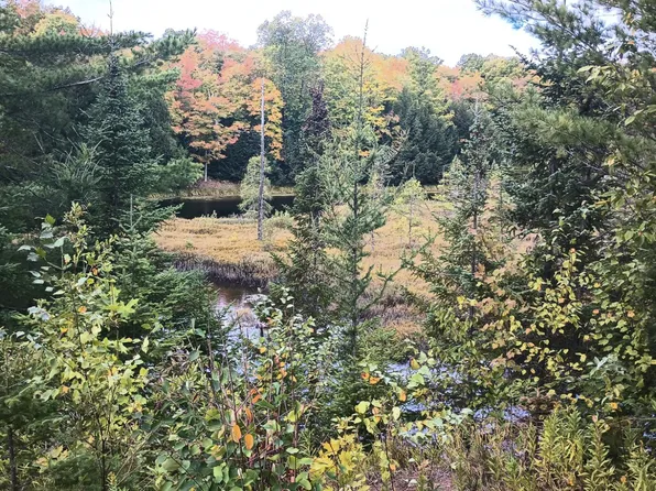 LOT 8 Chaney Cove Rd, Bessemer, MI 49911