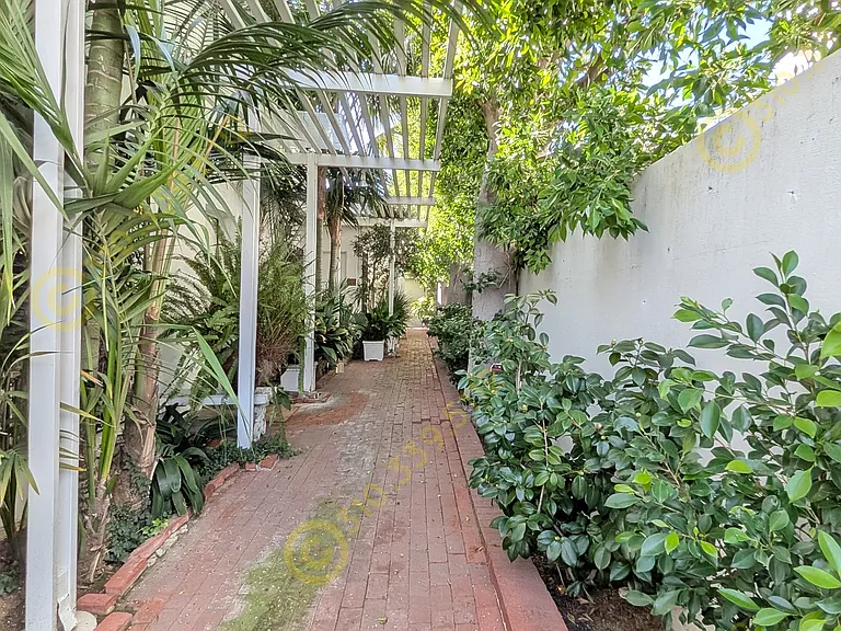 969 N Doheny Dr #1/2 — Photo 5