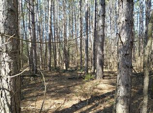 V/l E Pine Hill Ave, White Cloud, MI