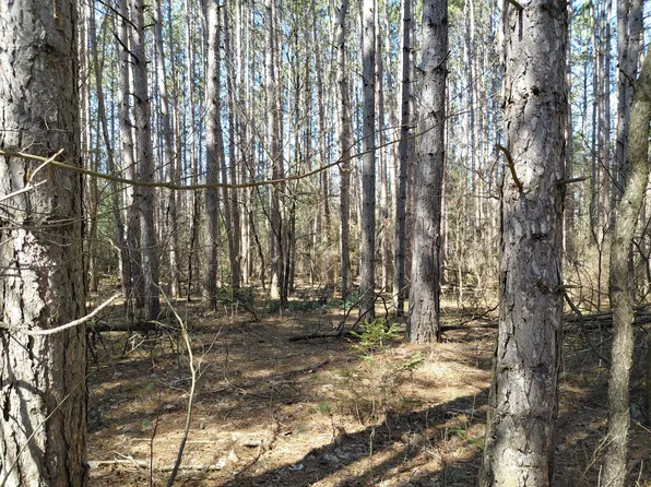 V/l E Pine Hill Ave, White Cloud, MI 49349