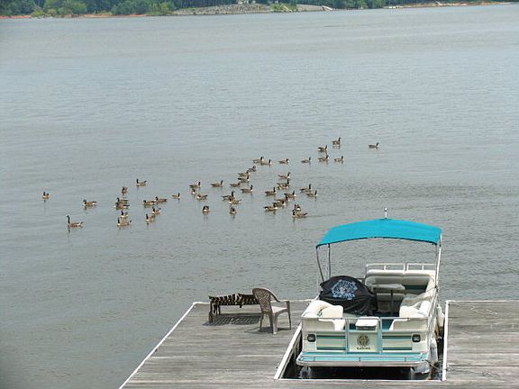 3rd image of 300 Lakeview Ln