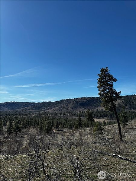 5th image of 0 NHN Washington Creek Road