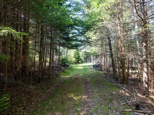 35-6-1 Blastow Cove Road, Deer Isle, ME 04627