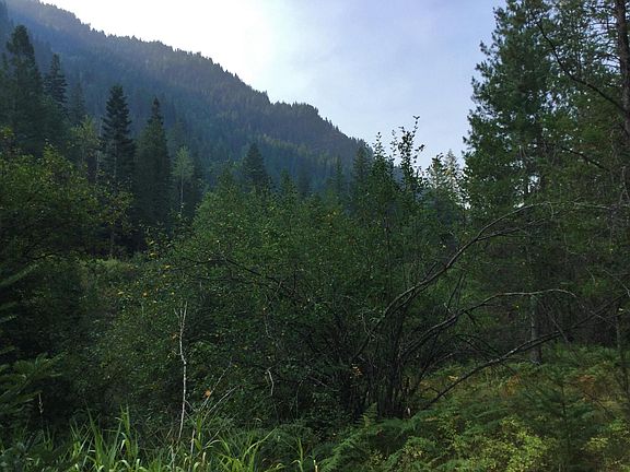 2nd image of Nhn Conifer Ln