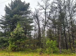 0 E Ten Mile Rd PARCEL D-1, Irons, MI 49644