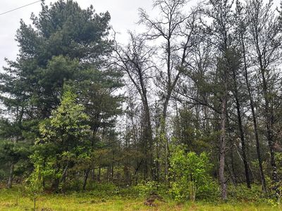 0 E Ten Mile Rd Parcel D-1, Irons, MI, 49644