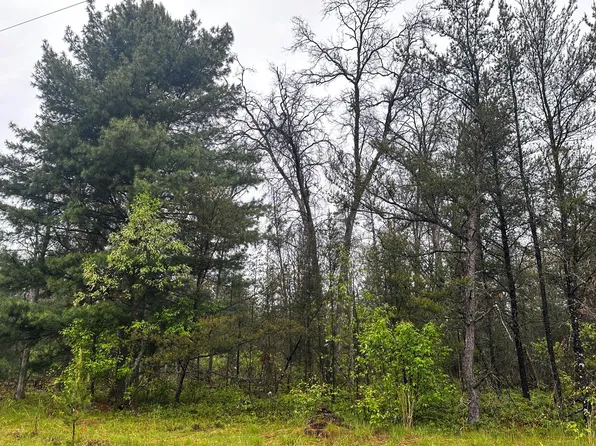 0 E Ten Mile Rd Parcel D-1, Irons, MI 49644