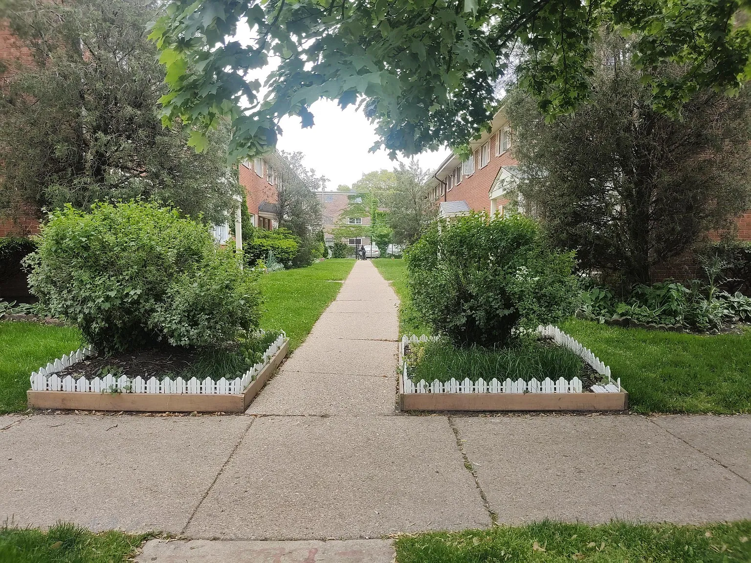 1411 W Touhy Ave — Photo 3