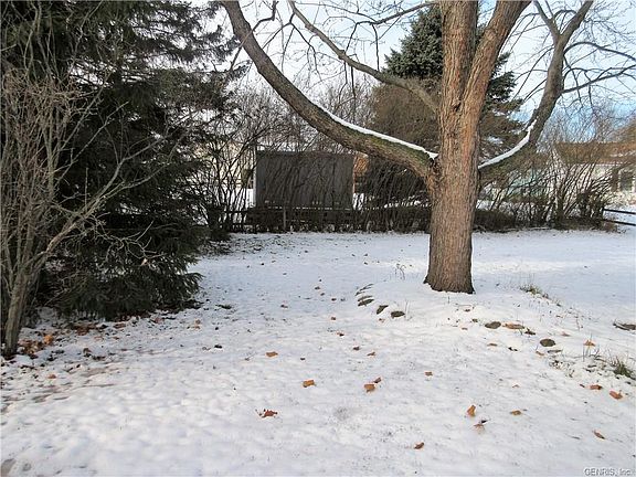 3rd image of 9 Sundew Ln