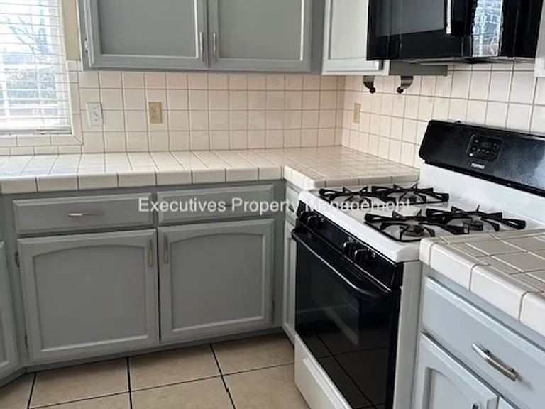 1103 Acapulco Ct — Photo 11