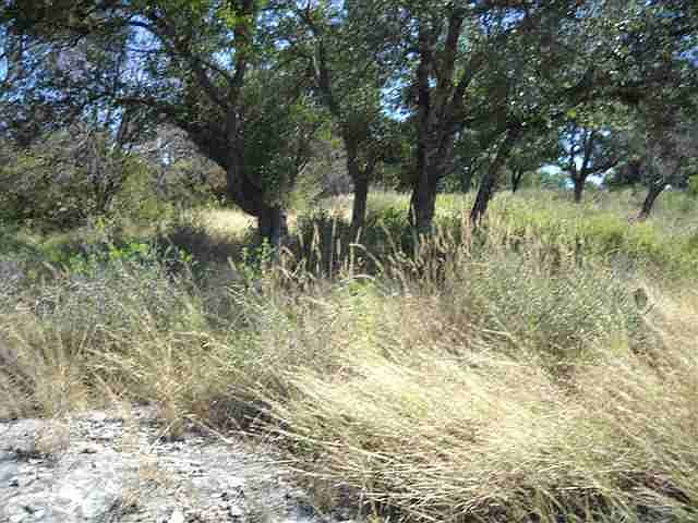 2nd image of 40035B Hi Ridge Rd