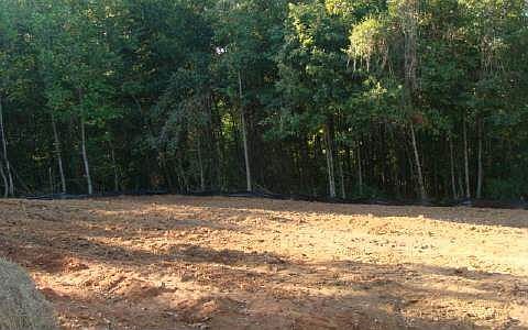 5th image of 1782 Highway 254