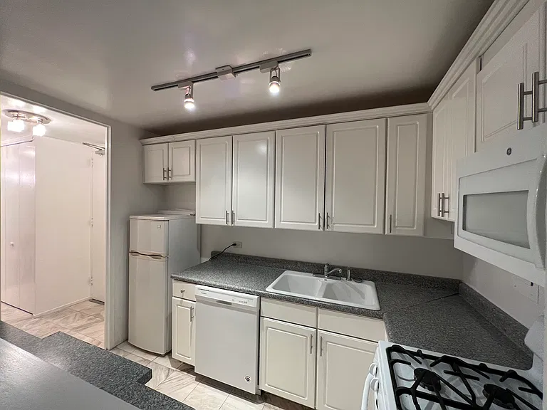 Modern kitchen with dishwasher and mounted microwave.