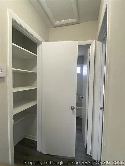 119 Calvin St #B — Photo 8