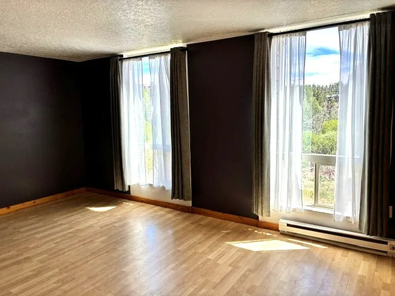 340 Straight Creek Dr #2C-209 — Photo 19