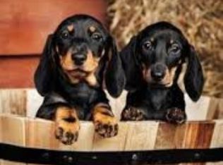 2024 Starr St, Edgewood, MD 21040