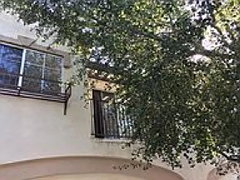 1036 Pan Ct — Photo 18