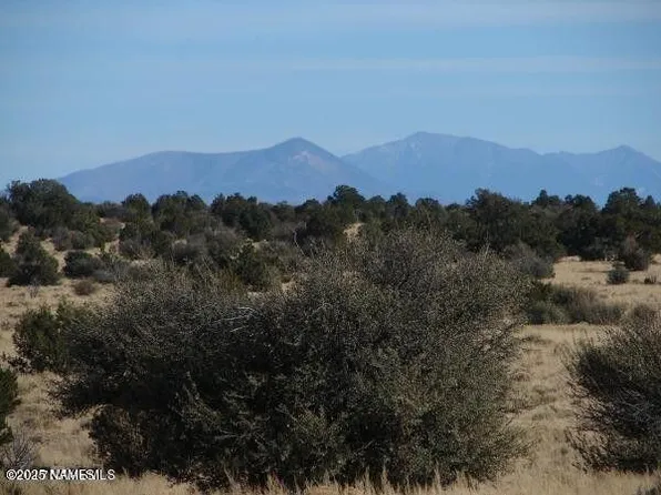 7420 Mineral Wells Rd, Williams, AZ 86046