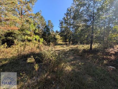 1300 S Palm St, Jesup, GA, 31546