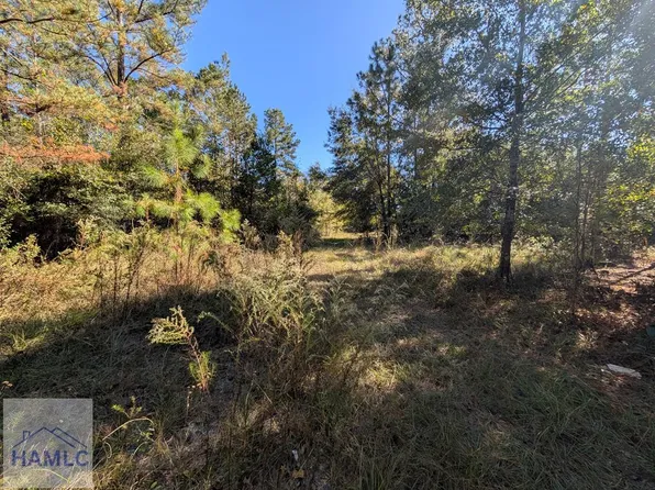 1300 S Palm St, Jesup, GA 31546