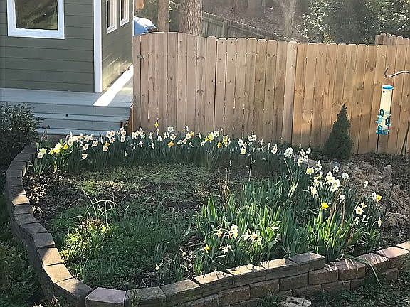 Potting shed and flower gard