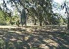 3rd image of LOT Gaines Ln