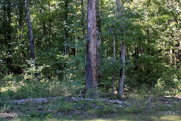2nd image of E Shore Dr