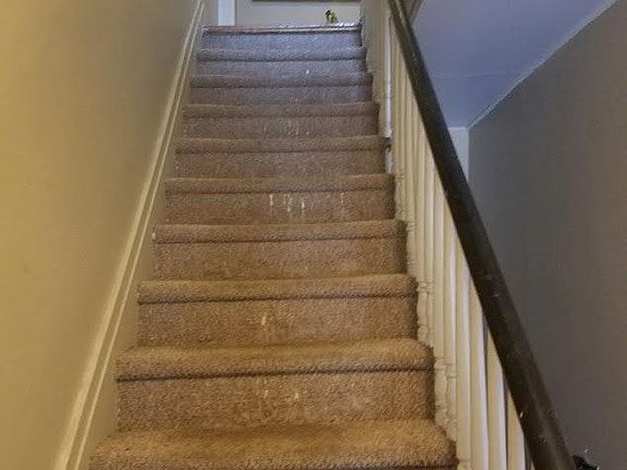 3rd image of 18 Frances Kiernan Pl APT 4