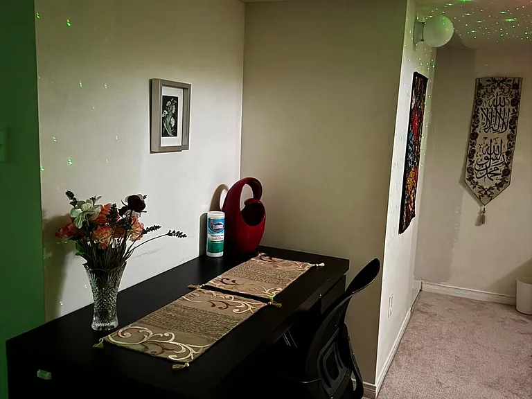 409 Aspendale Cres #BSMNT-ROOM — Photo 9