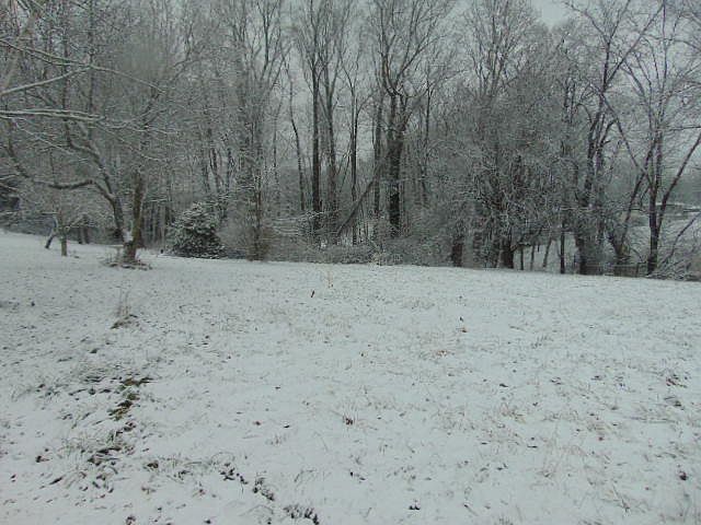 2nd image of 133 Barker Dr