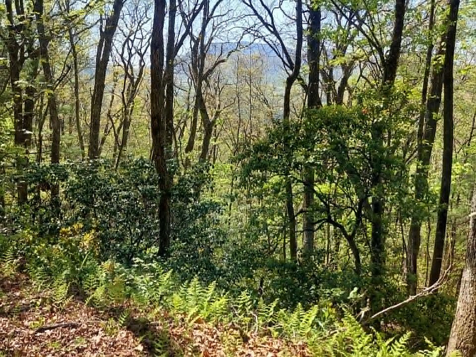 1st image of 0 Pipetrack Gap Road