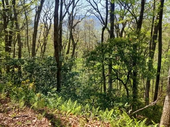 0 Pipetrack Gap Road, Scaly Mountain, NC 28775