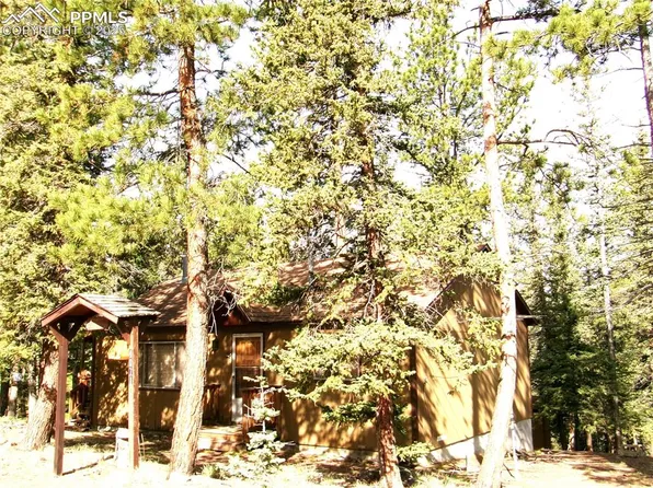 4071 Omer Ln, Divide, CO 80814