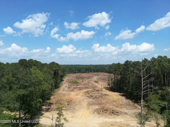 Cole Dr SE, Bogue Chitto, MS 39629