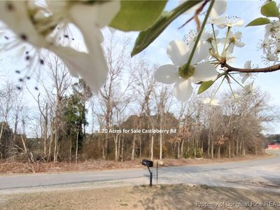 7 Castleberry Rd, Sanford, NC, 27332