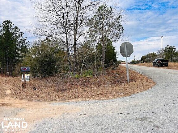 4th image of 0 Georgia Rd Tract 2