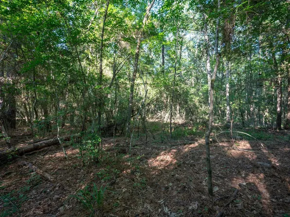 County Road 3000, Woodville, TX 75979