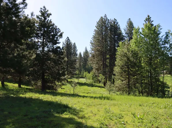 9 Krahn Ln, McCall, ID 83638