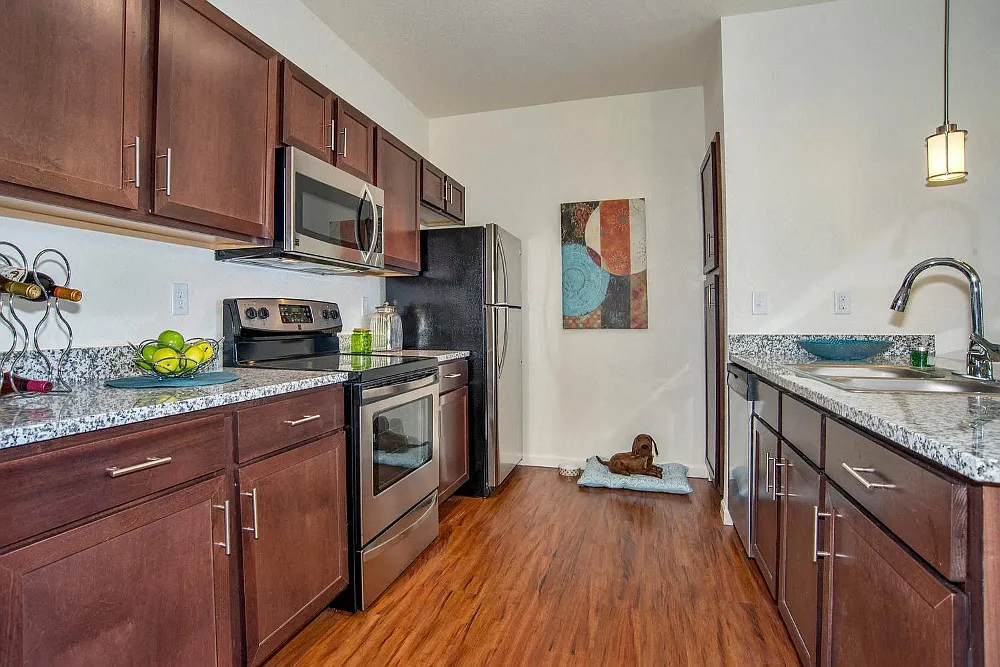 Ironhorse Apartments — Photo 4